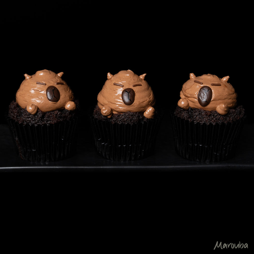 Valrhona Chocolate Cupcakes