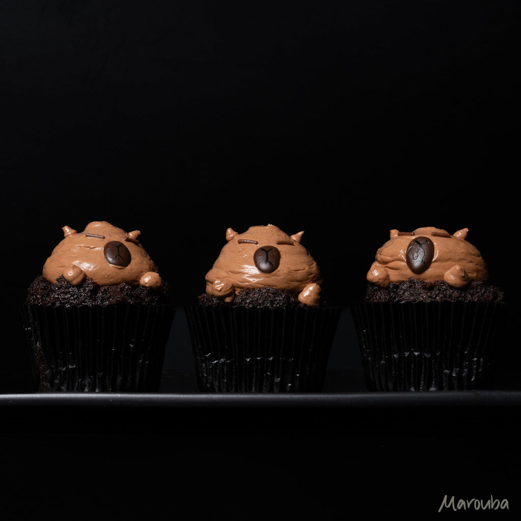 Valrhona Chocolate Cupcakes