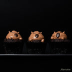 Valrhona Chocolate Cupcakes